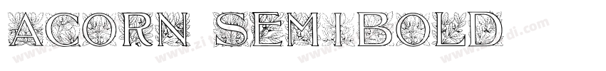 Acorn SemiBold字体转换